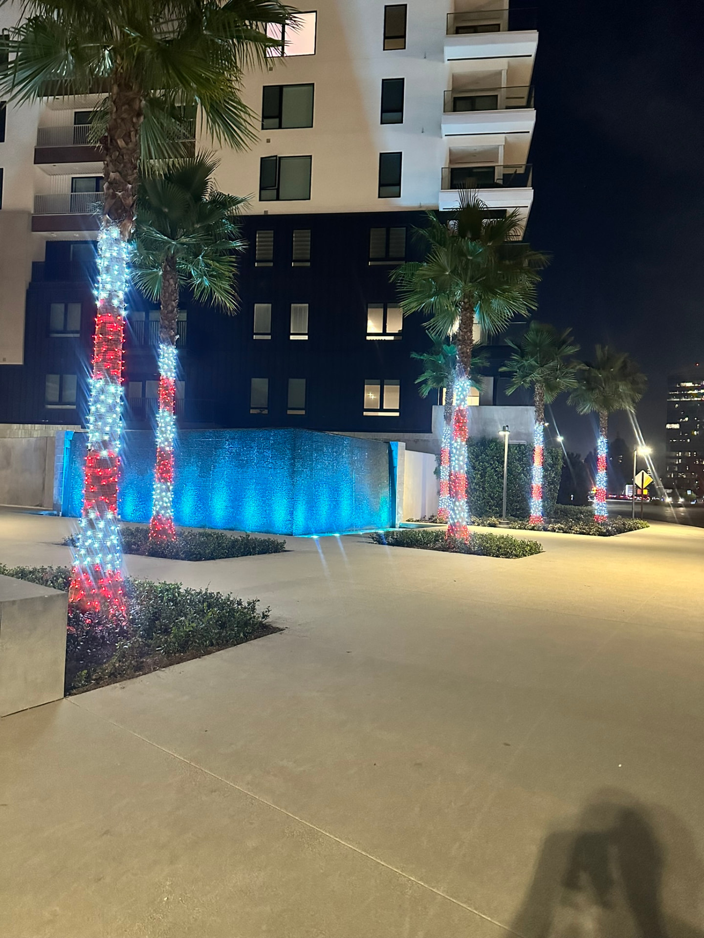 Palm trees wrapped in red and white lights at a commercial property entrance at night
