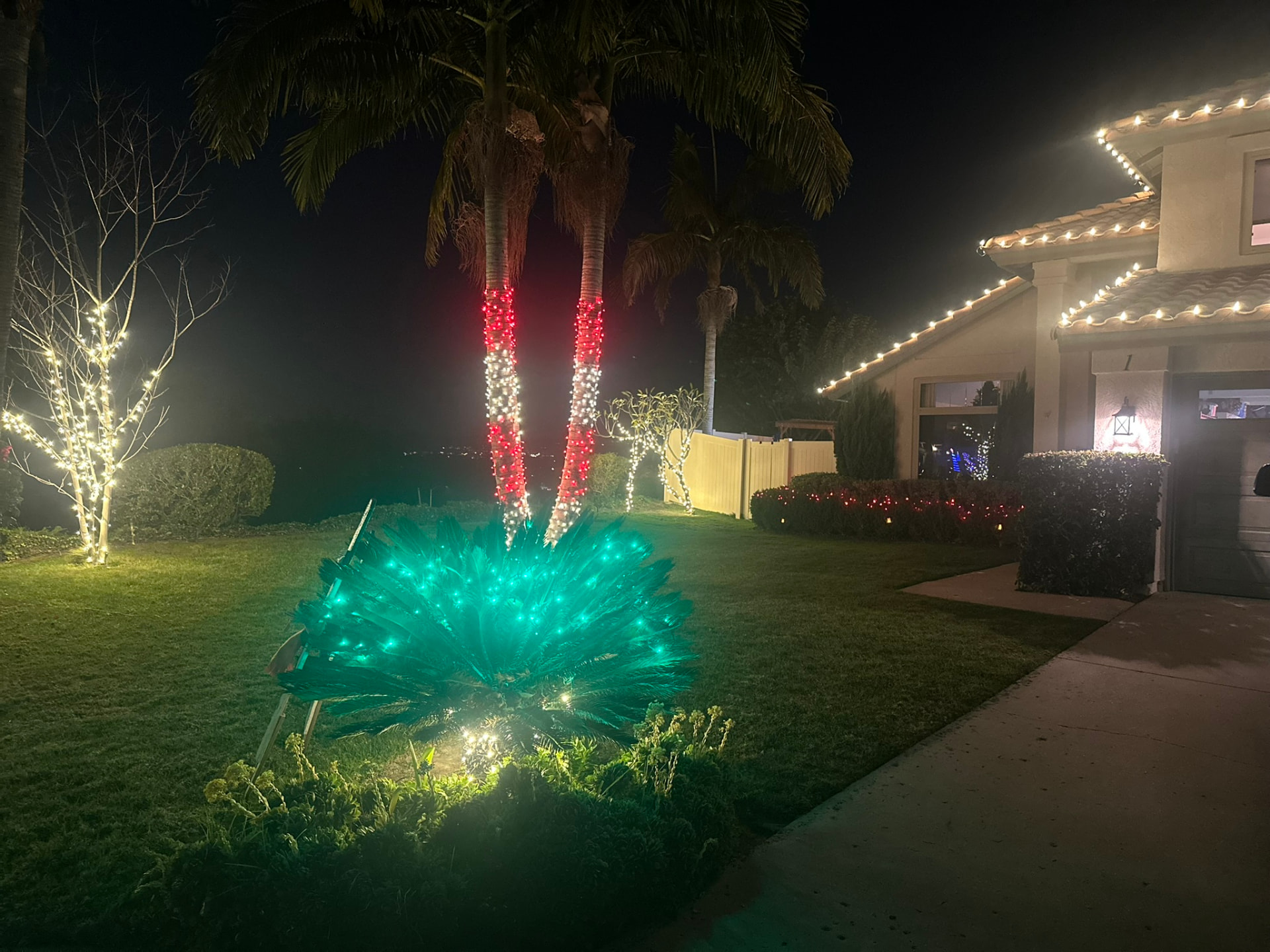 Palm tree trunks wrapped in red and white Christmas lights beside a home with a lit roofline