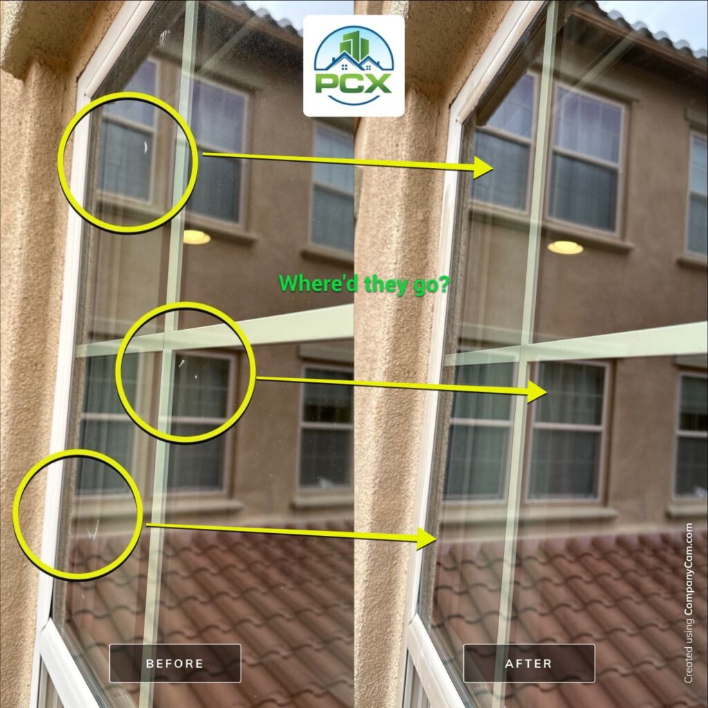 Window Cleaning Services